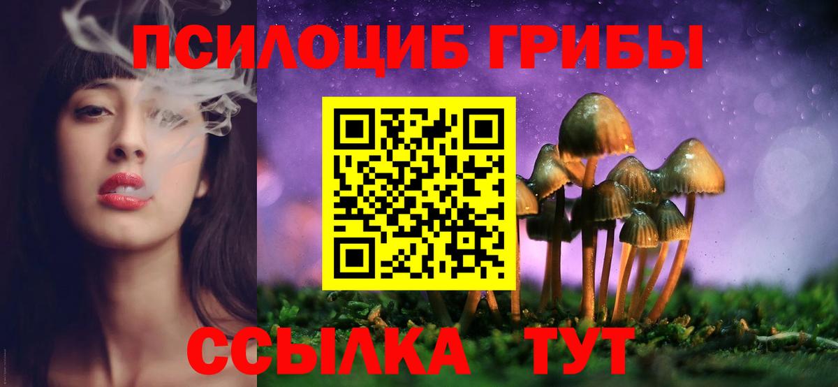 Псилоцибиновые грибы MAGIC MUSHROOMS Лениногорск