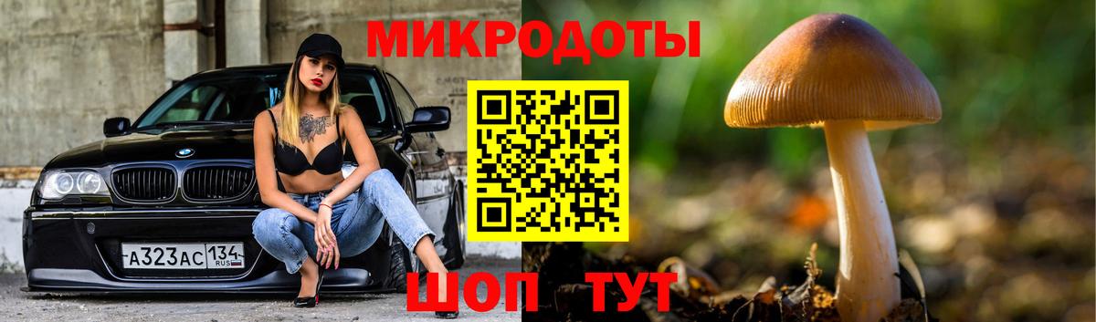 Лениногорск  Галлюциногенные грибы мицелий  Вход с VPN  Псилоцибиновые грибы MAGIC MUSHROOMS 